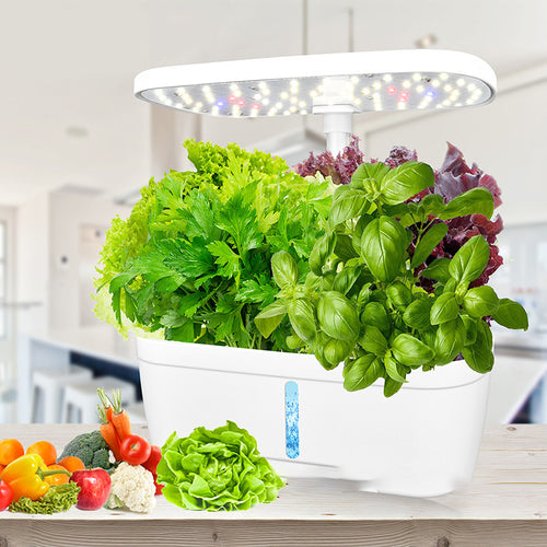 Hydroponic Vegetable Planting Machine