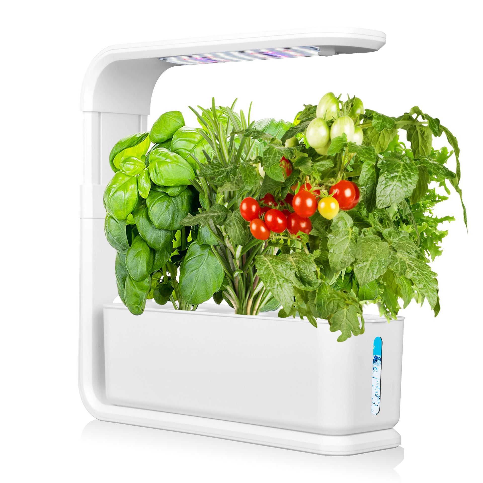 Hydroponic Vegetable Planting Machine
