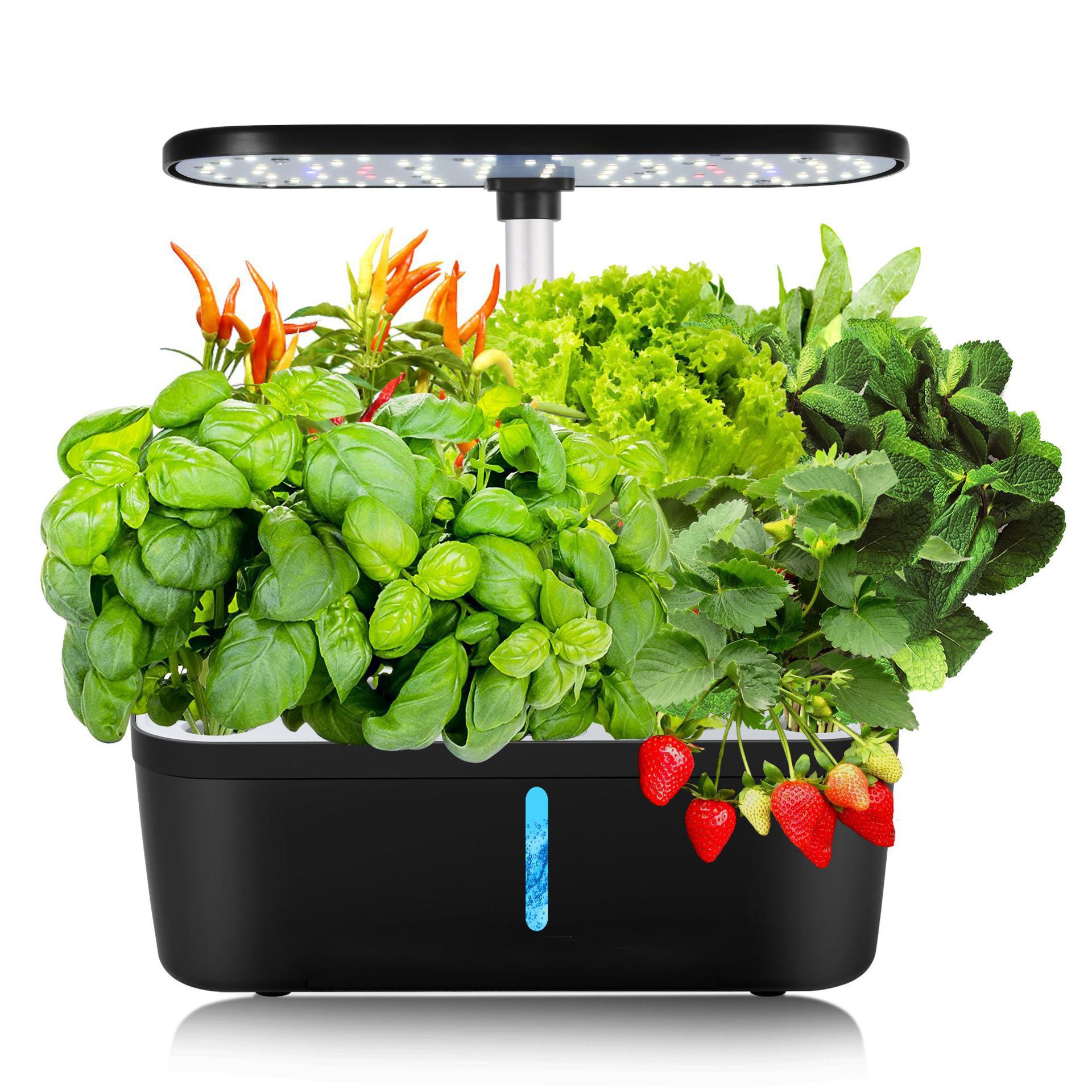 Hydroponic Vegetable Planting Machine