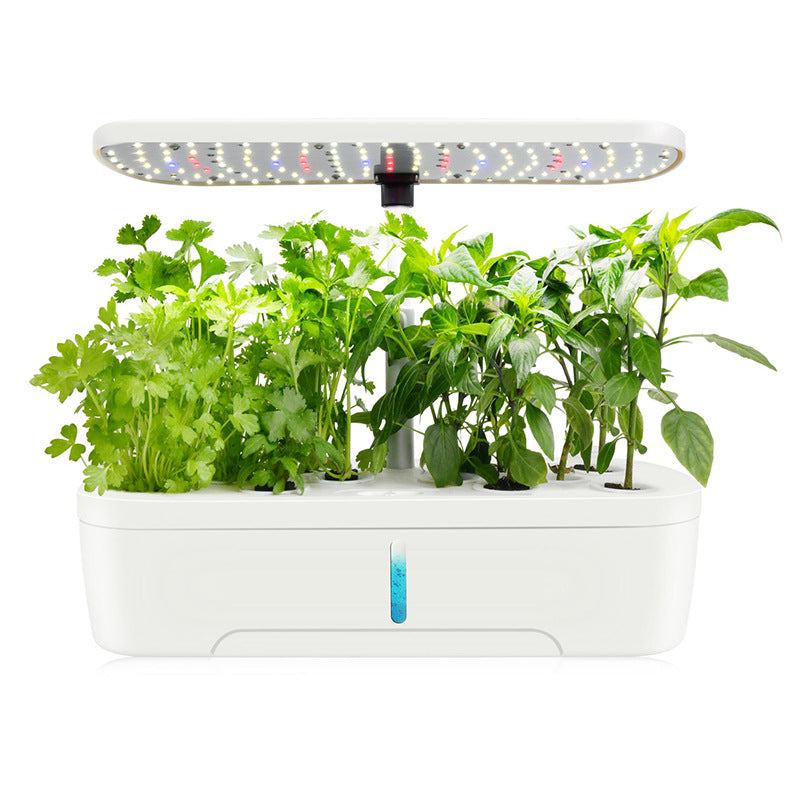 Hydroponic Vegetable Planting Machine